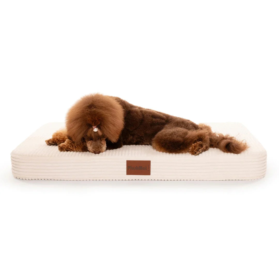 Luxury Dog Bed