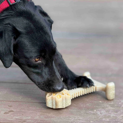 Honeybone Dental Flower Tower - XXL Dog Chew Toy