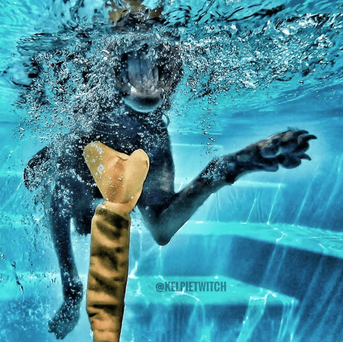 Bungee Bone