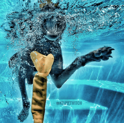 Bungee Bone