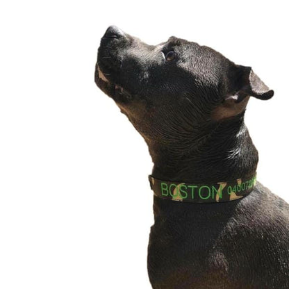 Camouflage Dog ID Collar - Australian Made