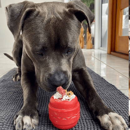 Cheeseburger - BROWN - FREE GIFT