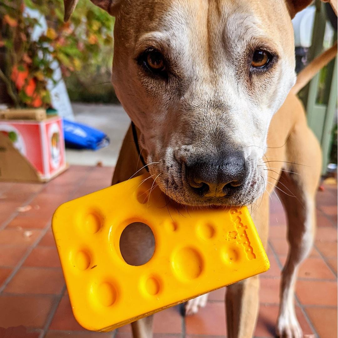Nylon Cheese (Power Chewers)