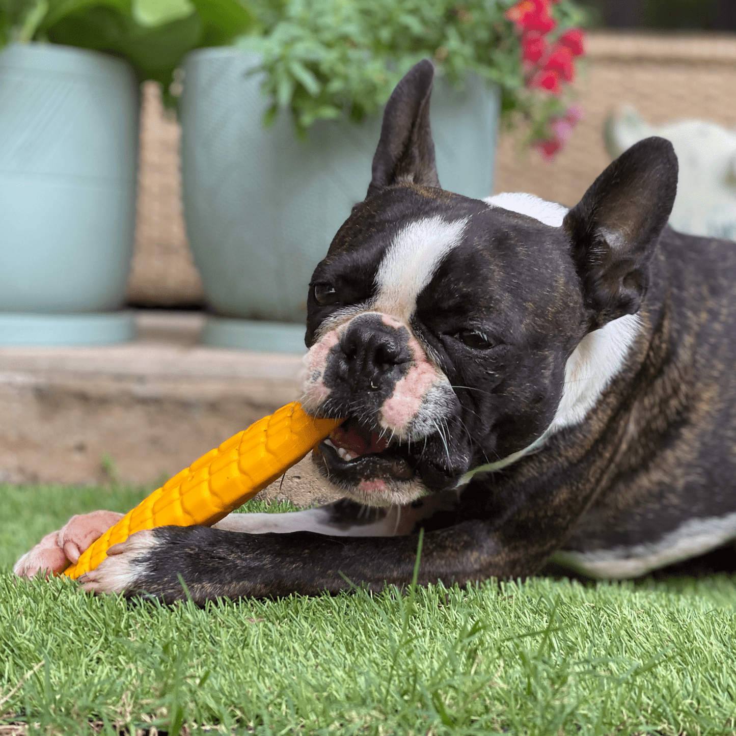 Nylon Corn On The Cob
