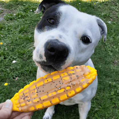 Nylon Corn On The Cob