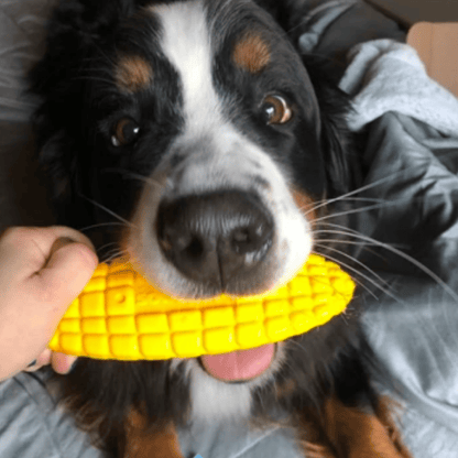 Nylon Corn On The Cob
