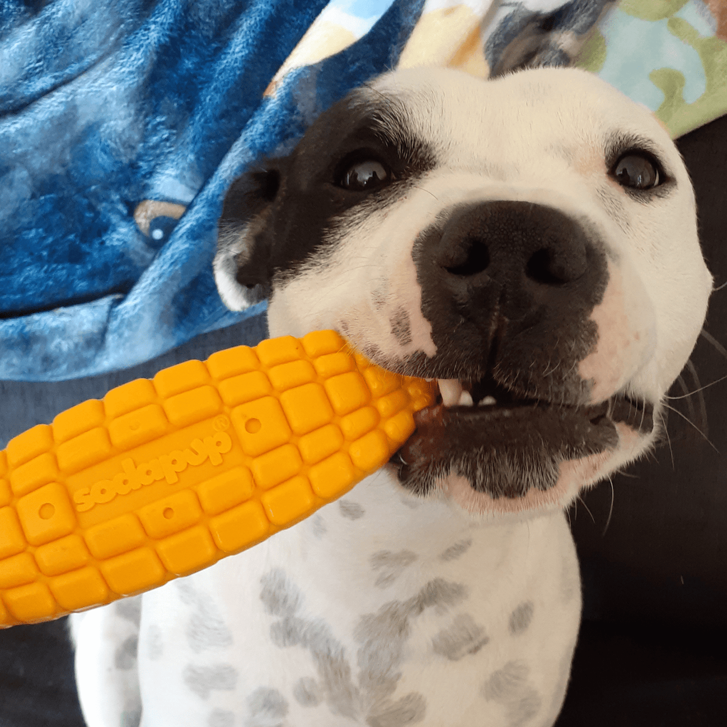 Nylon Corn On The Cob