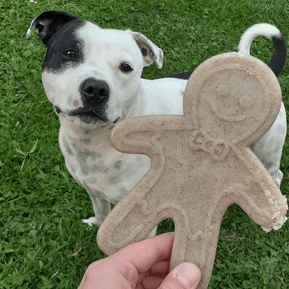 Nylon Gingerbread Man
