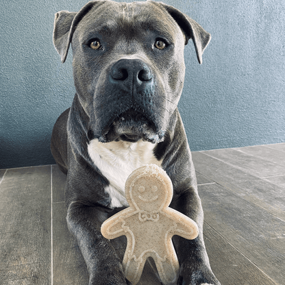 Nylon Gingerbread Man