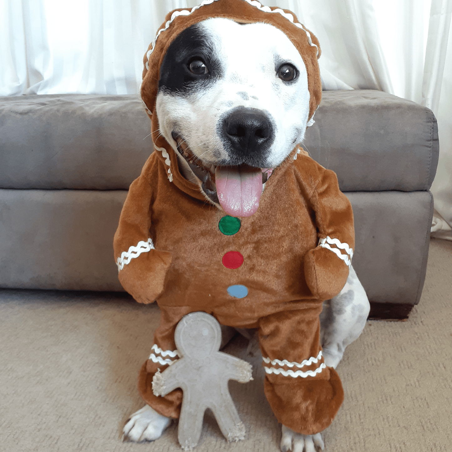 Nylon Gingerbread Man