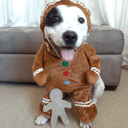 Nylon Gingerbread Man
