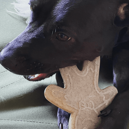Nylon Gingerbread Man