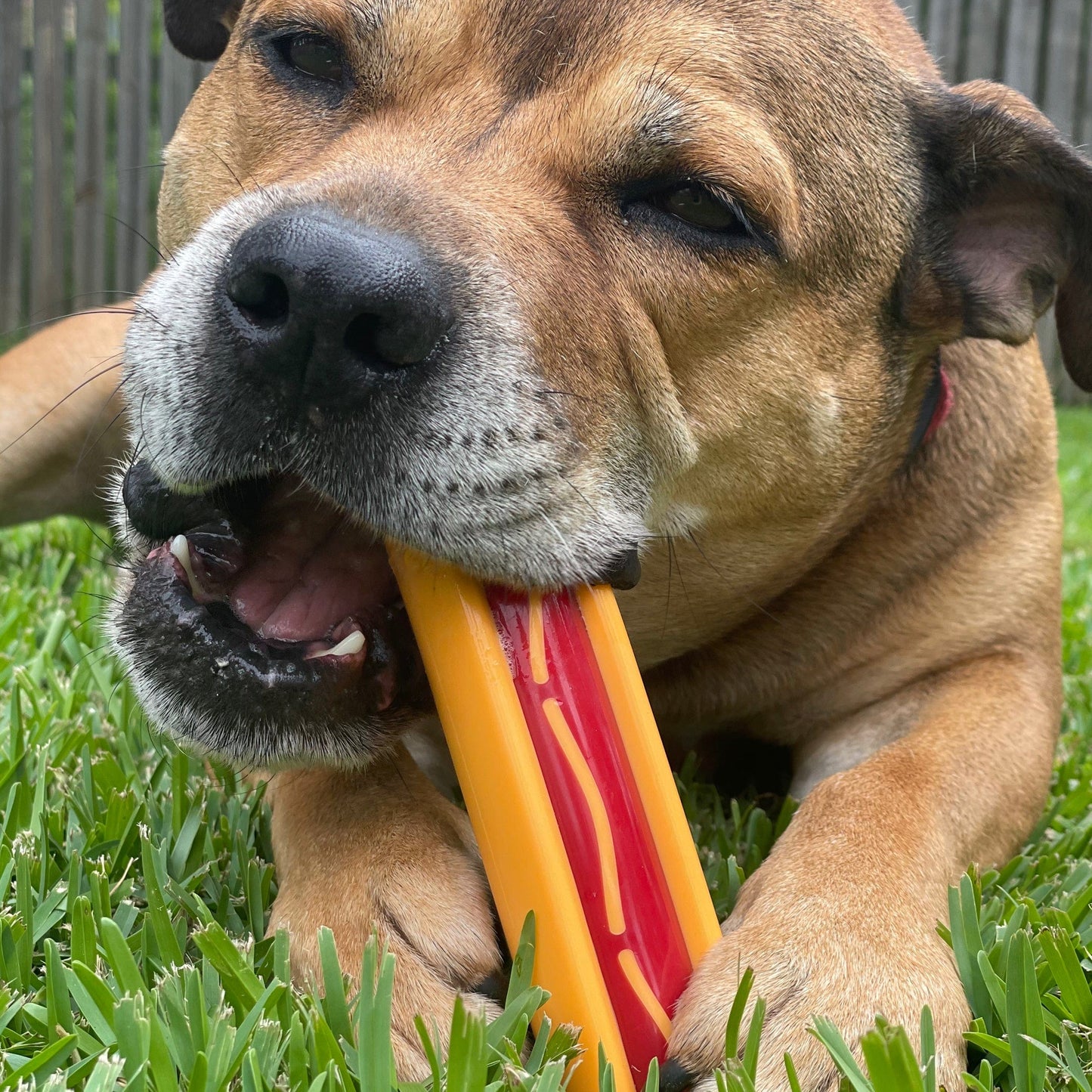 Nylon Hot Dog