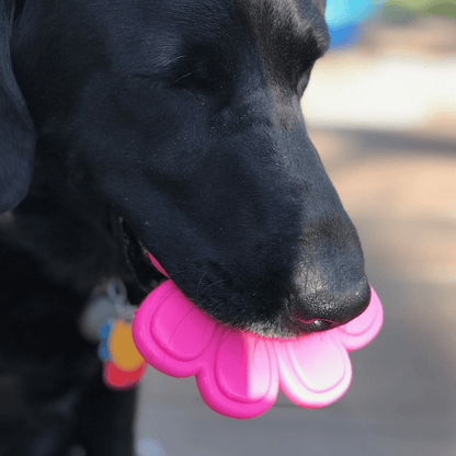 Nylon Paw (Power Chewers)