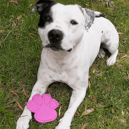 Nylon Paw (Power Chewers)