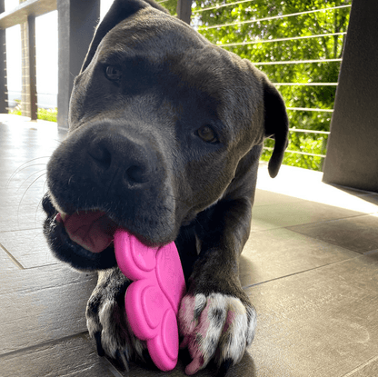 Nylon Paw (Power Chewers)