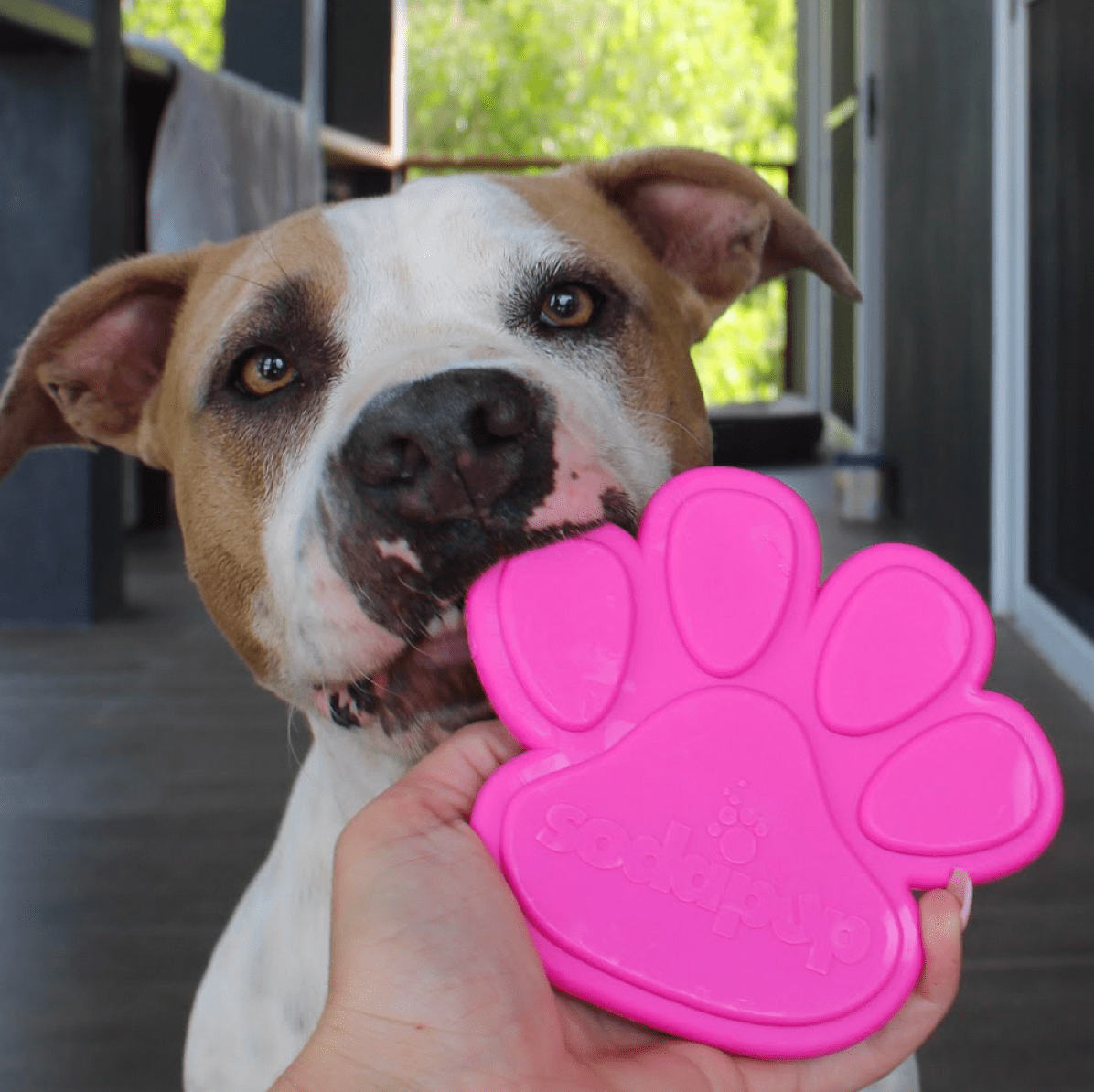 Nylon Paw (Power Chewers)