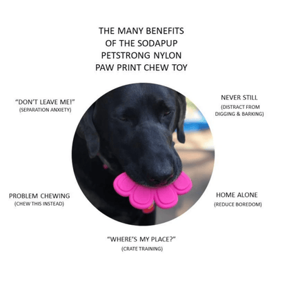 Nylon Paw (Power Chewers)