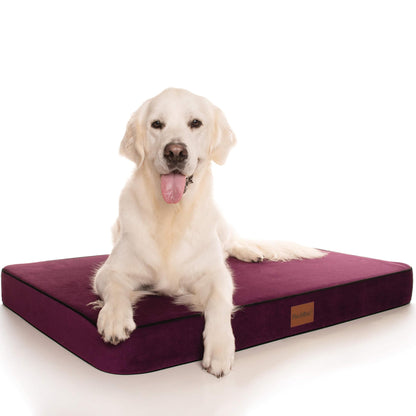 PlushMat! Plus - Thermal & Therapeutic