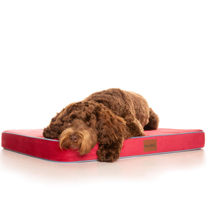 PlushMat! Plus - Thermal & Therapeutic