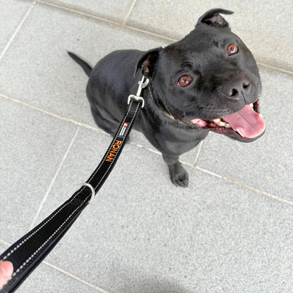 Training Leads For Dogs - 50cm Length - Australian Made
